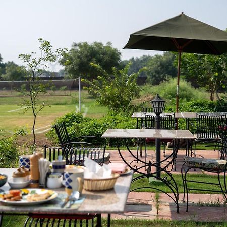 Tree Of Life Ecotainers Agra Hotel Agra  Bagian luar foto