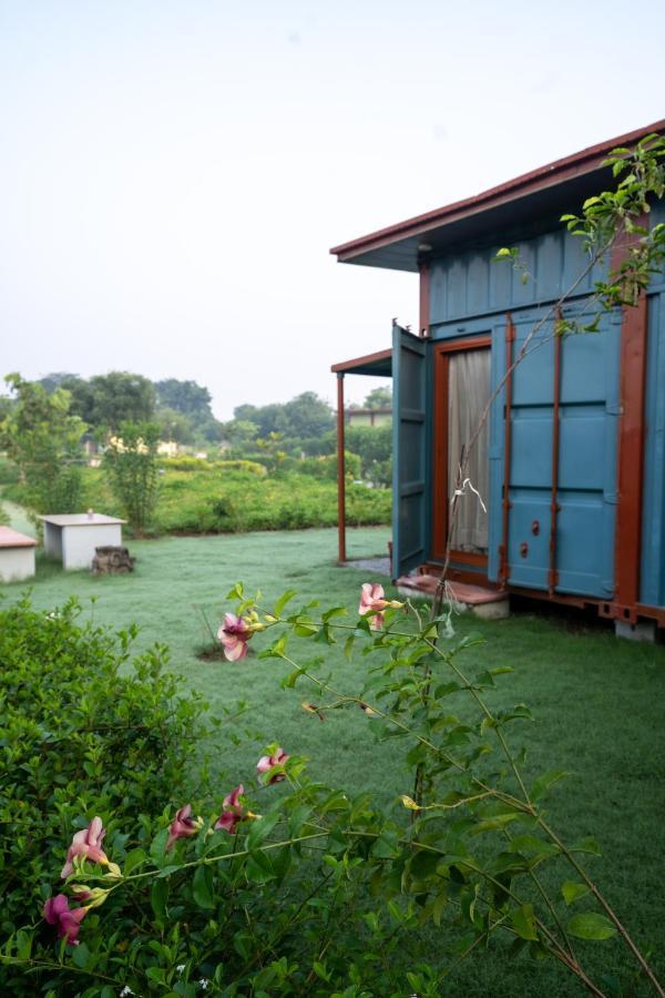 Tree Of Life Ecotainers Agra Hotel Agra  Bagian luar foto