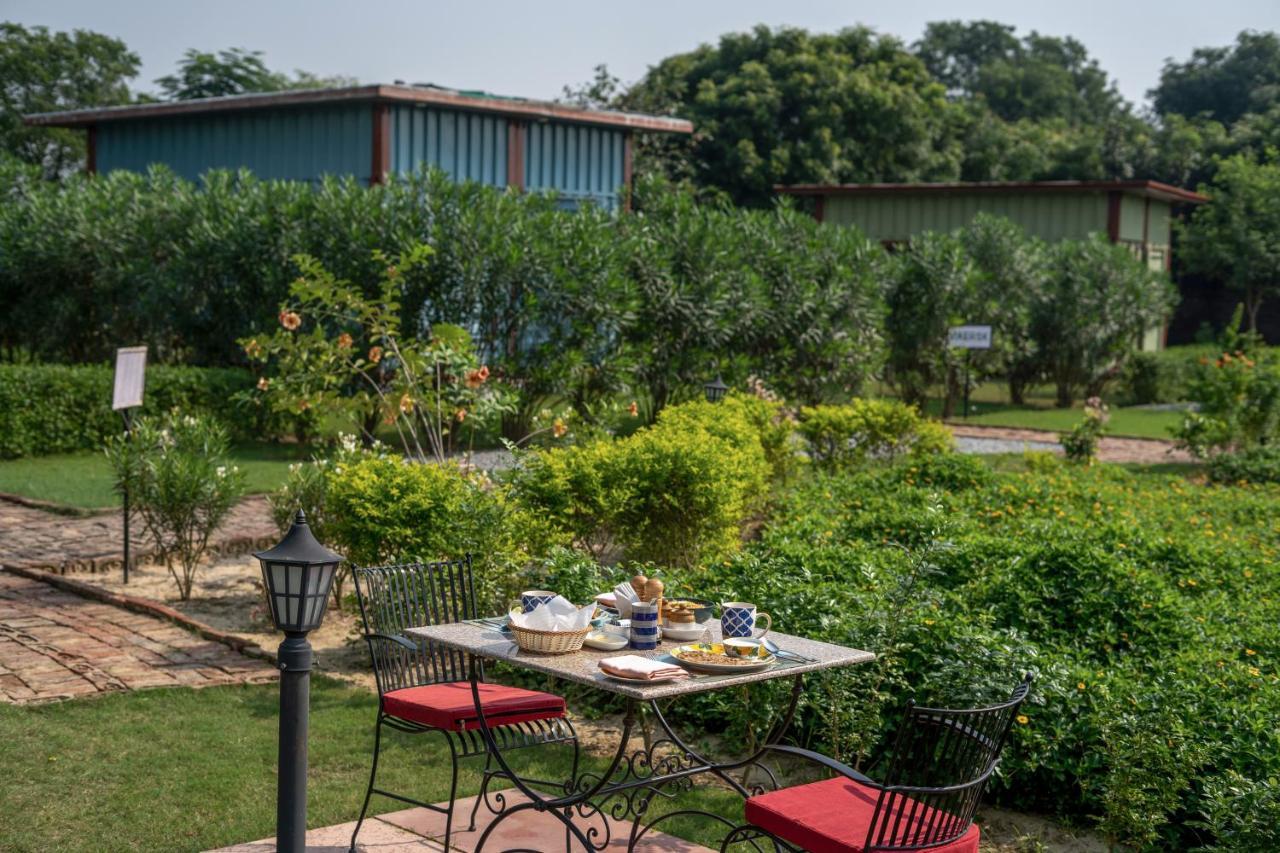 Tree Of Life Ecotainers Agra Hotel Agra  Bagian luar foto