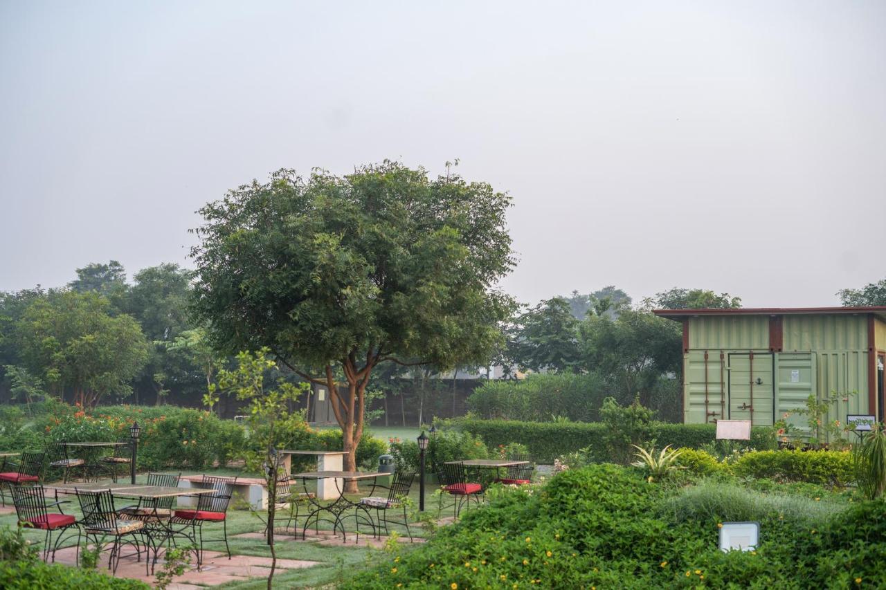 Tree Of Life Ecotainers Agra Hotel Agra  Bagian luar foto