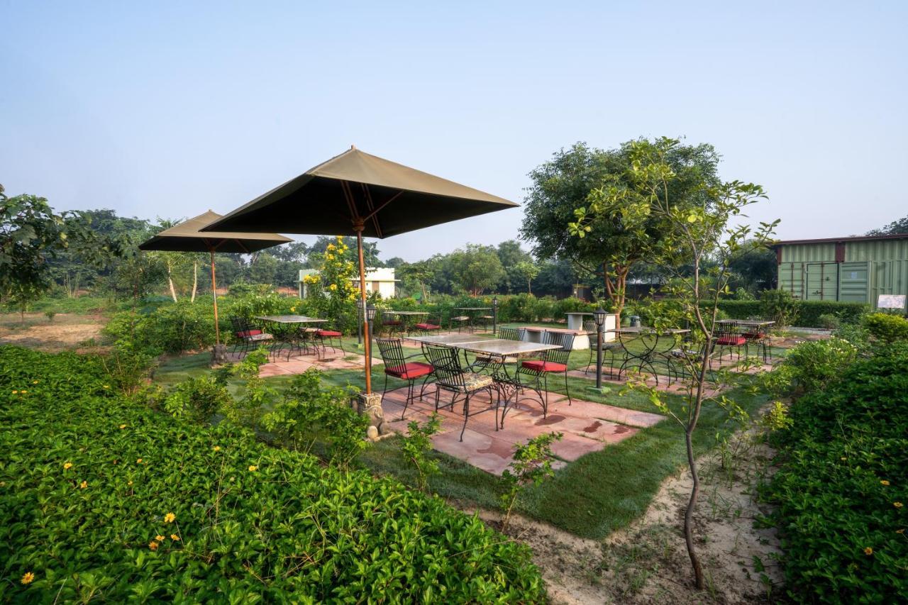 Tree Of Life Ecotainers Agra Hotel Agra  Bagian luar foto