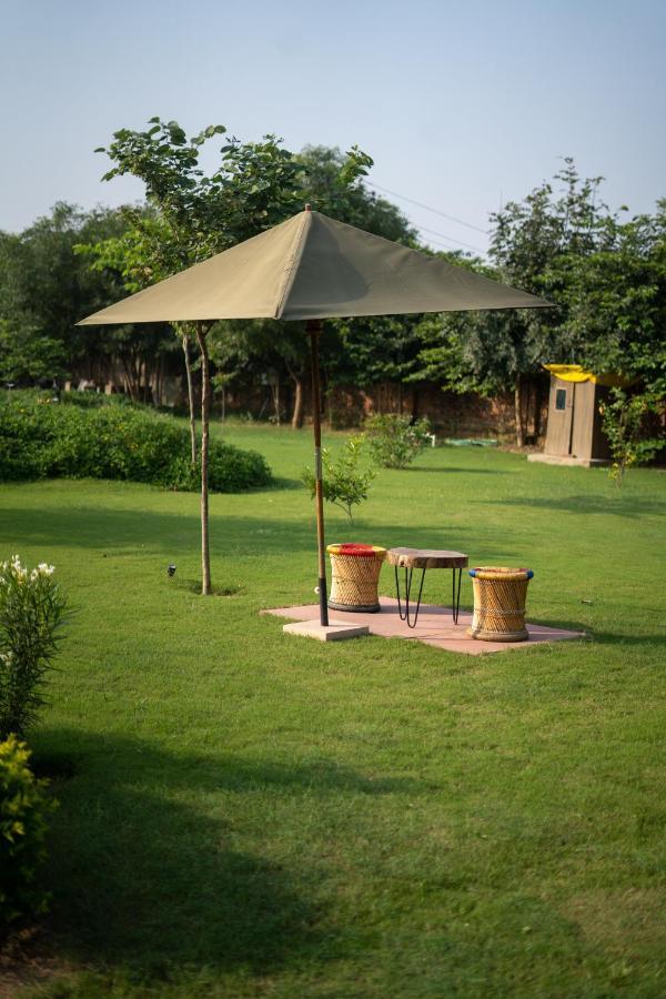 Tree Of Life Ecotainers Agra Hotel Agra  Bagian luar foto